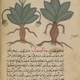 Illustration for article titled 1,000 Years of Scientific Texts From The Islamic World Are Now Online